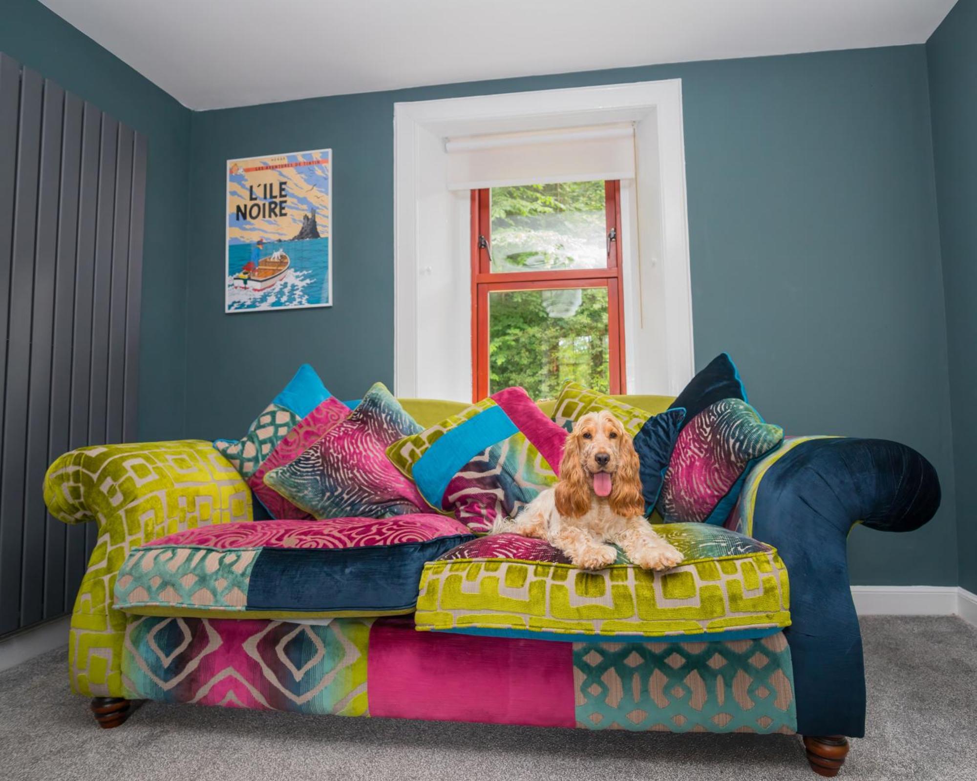 Tig Cottage - a rural, quirky, pet friendly 2 bedroom cottage near Ballantrae Esterno foto