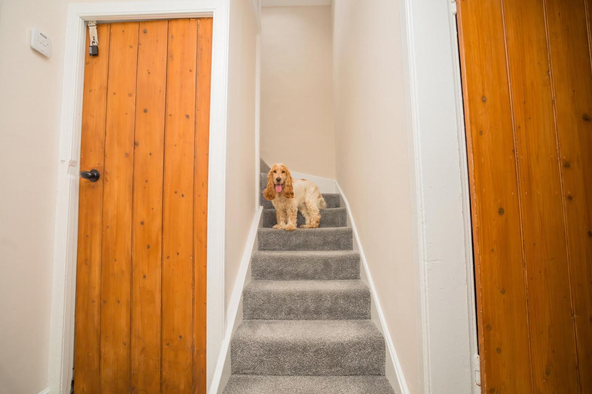 Tig Cottage - a rural, quirky, pet friendly 2 bedroom cottage near Ballantrae Esterno foto