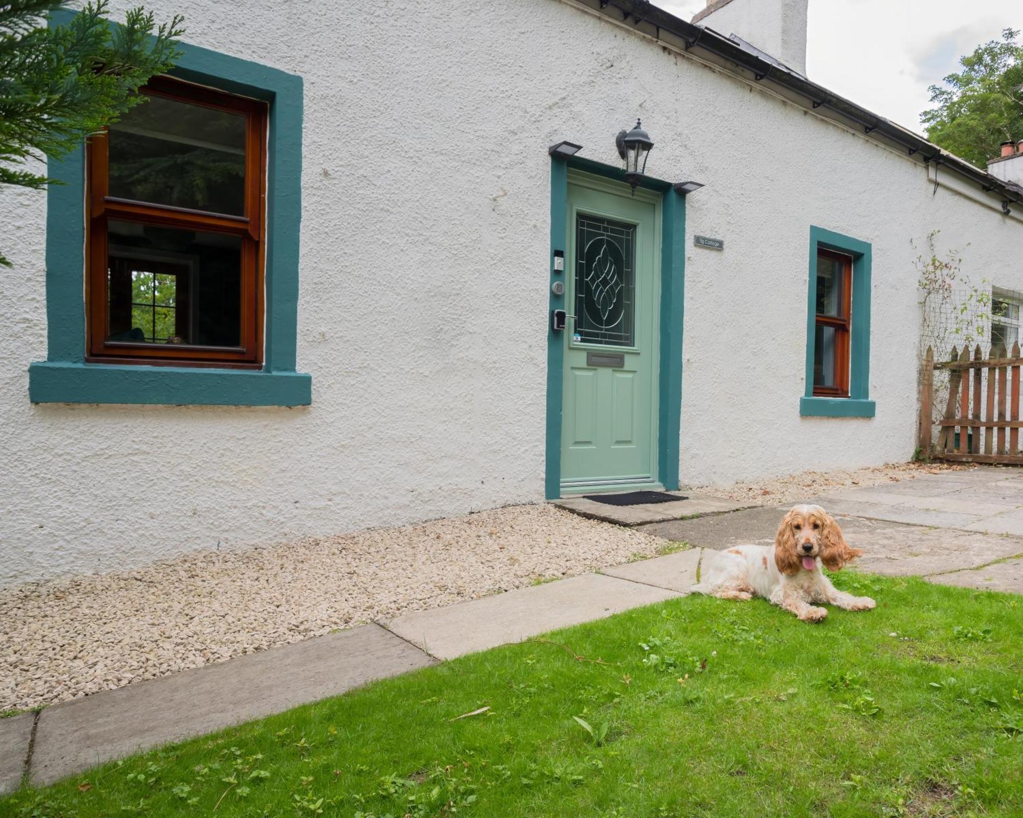 Tig Cottage - a rural, quirky, pet friendly 2 bedroom cottage near Ballantrae Esterno foto